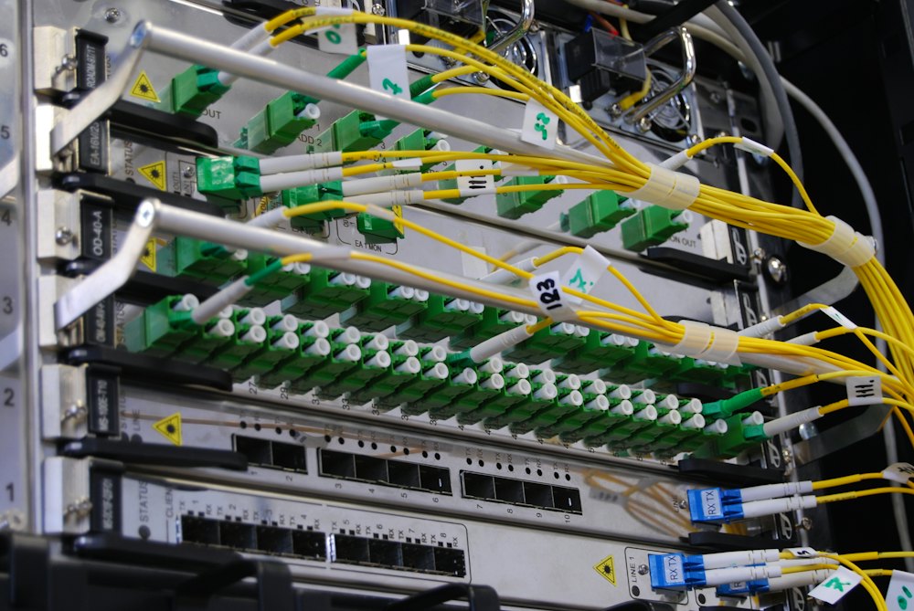 Fiber cables plugged into a network switch